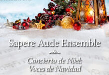 “VOCES DE NAVIDAD” — Conciertos de Noël 2025 el 18 de diciembre