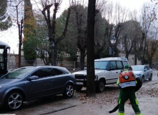 Alcalá de Henares refuerza su servicio de limpieza ante la caída de la hoja