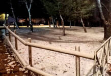 La víspera de Reyes Magos deja un manto blanco de nieve sobre Alcalá de Henares