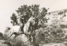 Ciclo de conferencias en homenaje al Arma de Caballería en Alcalá de Henares