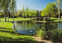 El Cementerio Jardín de Alcalá de Henares amplía su capacidad y pone a disposición de las familias 660 nuevas unidades de enterramiento