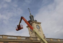 El Ayuntamiento traslada un nido de cigüeña blanca de la Casa Consistorial para garantizar su tranquilidad durante el periodo de cría