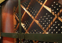 Cena con vinos en Plademunt: una experiencia gastronómica para disfrutar sin prisa