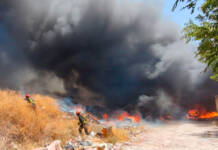 Los Bomberos de Alcalá se despliegan en «el peor incendio de la historia de la Comunidad de Madrid»