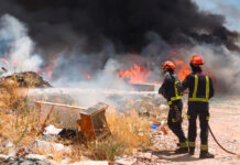 La Universidad de Alcalá expresa su solidaridad con los afectados por los incendios de Madrid y Ávila y pone sus recursos al servicio de la emergencia