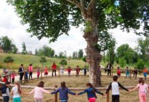 Programa de actividades ambientales para los centros educativos de Alcalá de Henares