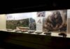 El MARPA inaugura una exposición sobre los cazadores-recolectores de la Sierra Norte - imagen 1