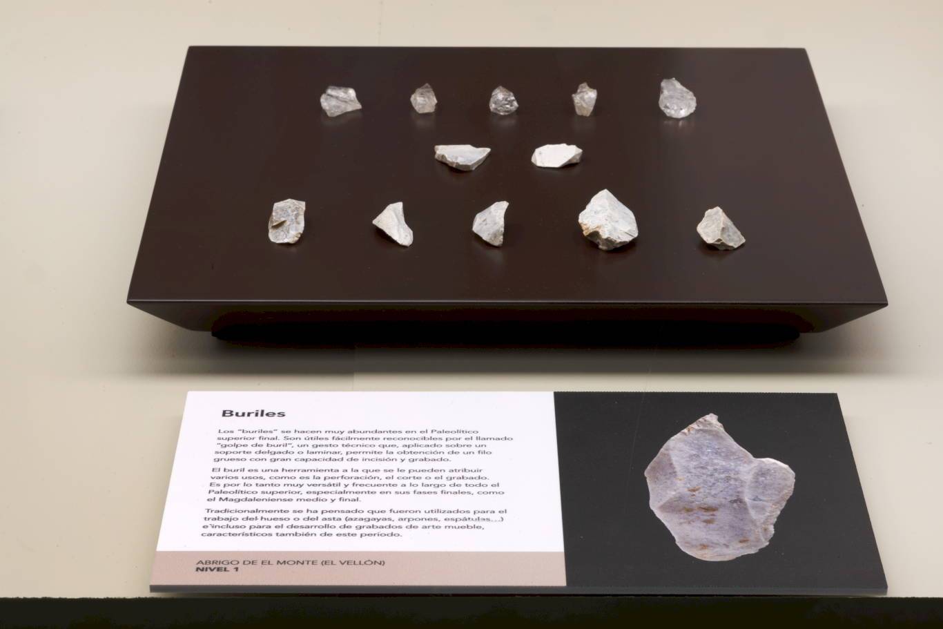 El MARPA inaugura una exposición sobre los cazadores-recolectores de la Sierra Norte