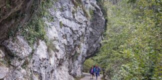 Corazones Sanos del Henares recorre Asturias en su Camino 2026 - imagen 1