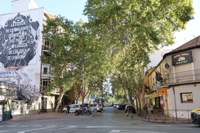 Alcalá aprueba la renovación del saneamiento en la Avenida de Guadalajara - imagen 1
