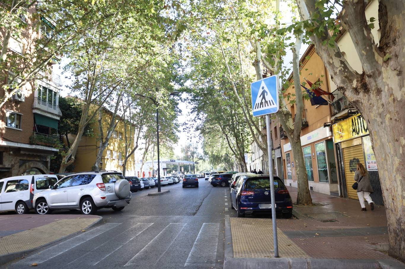 Alcalá aprueba la renovación del saneamiento en la Avenida de Guadalajara